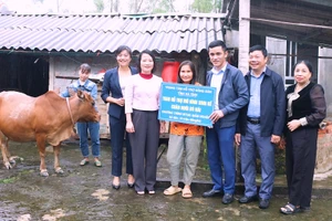 Ngành chức năng trao tặng mô hình sinh kế chăn nuôi bò nái cho hộ nghèo ở xã Đức Thọ. (Ảnh: Thanh Tình)