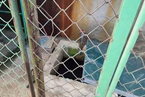 Bể chứa nước của Trường Mầm non Cẩm Trung.