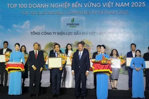 Đại diện PV Power, ông Phan Ngọc Hiền – Phó Tổng giám đốc nhận vinh danh.