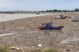 Hàng trăm tấn rác, củi khô, xác động vật trôi dạt, ken đặc tại cảng cá Xuân Hội sau bão số 3.