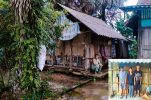 Những con người khờ khạo, bệnh tật đang bấu víu vào nhau trong căn nhà rách nát.