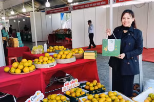 Sản phẩm cam hữu cơ ở Hà Tĩnh được bày bán tại các hội chợ thương mại. (Ảnh: B.P)