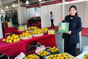 Sản phẩm cam hữu cơ ở Hà Tĩnh được bày bán tại các hội chợ thương mại. (Ảnh: B.P)