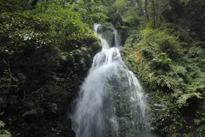 Vườn Quốc gia Vũ Quang (Hà Tĩnh) lưu giữ nhiều cảnh quan nguyên sơ, hấp dẫn.