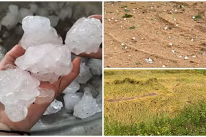 Mưa đá, dông lốc gây thiệt hại hoa màu ở Hà Tĩnh.