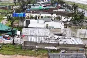Hà Tĩnh chịu nhiều thiệt hại sau khi bão Bualoi càn quét qua. 