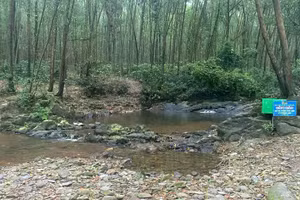 Khu vực suối Khe Ngang - nơi xảy ra vụ việc.