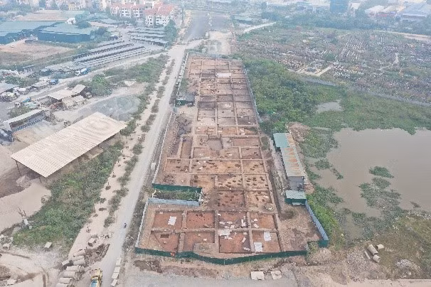 vuong-chuoi-2.jpg