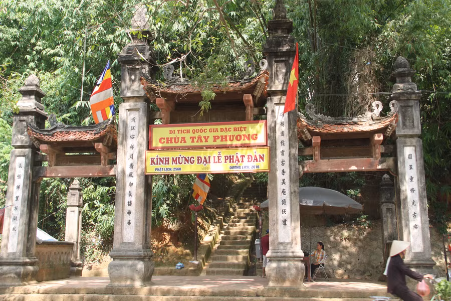 tay-phuong-1.jpg