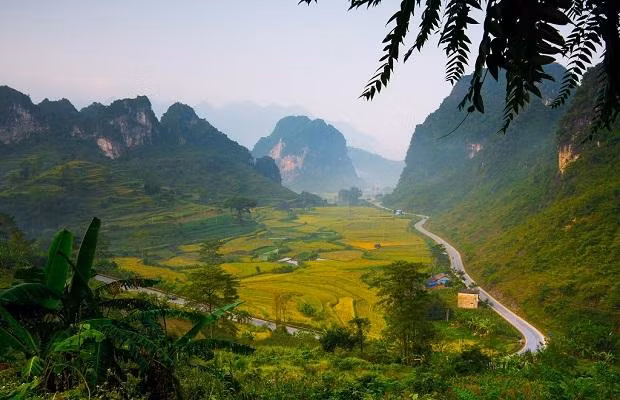 van hoa dong bac 4.jpg
