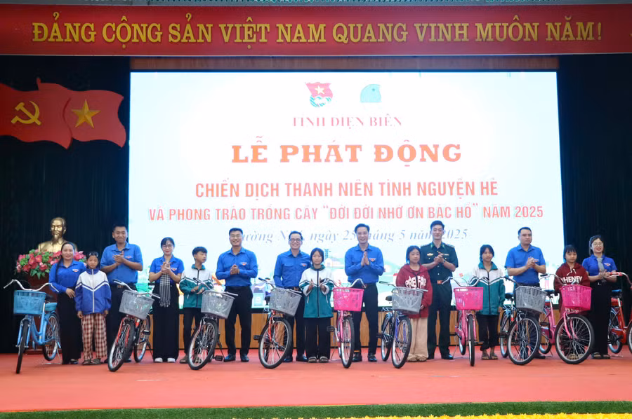 tinh-nguyen-he-1.jpg