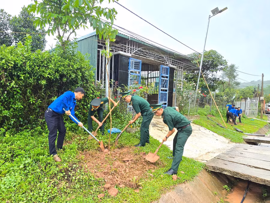 tinh-nguyen-he-4.jpg