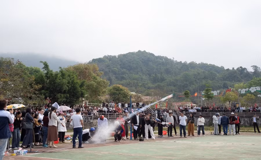 stem-muong-nhe-4.jpg