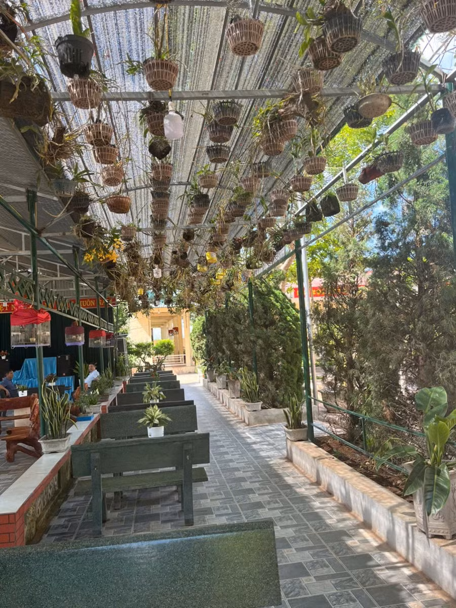 thu-vien-xanh-2.jpg