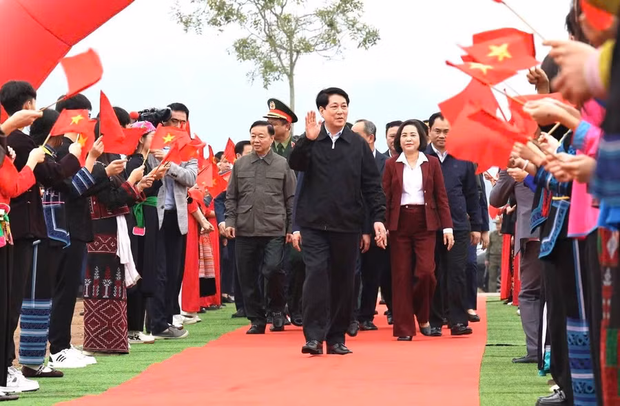 tet-trong-cay-lc-1.jpg