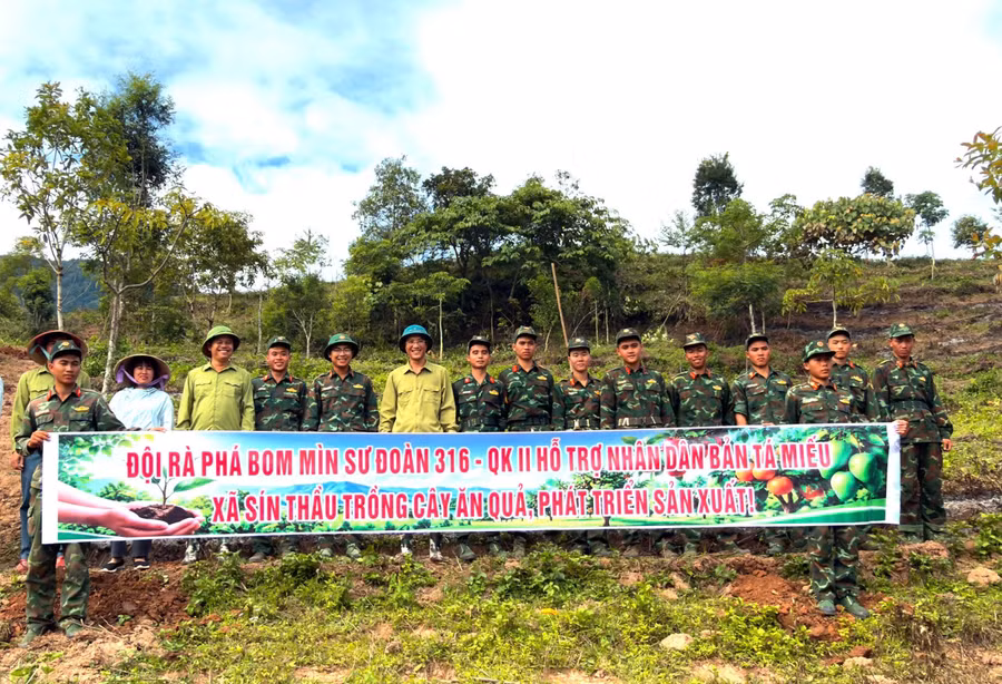 trong-cay-5.jpg