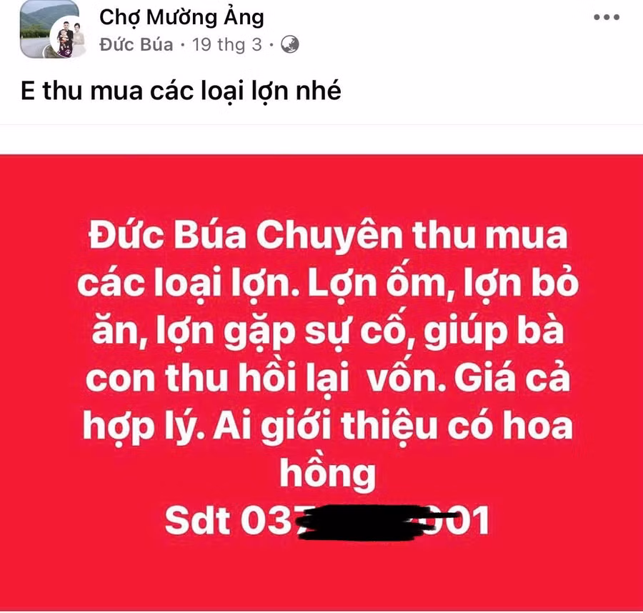 duc-bua.jpg