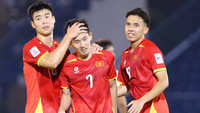 dt-viet-nam-6-21413652.jpg