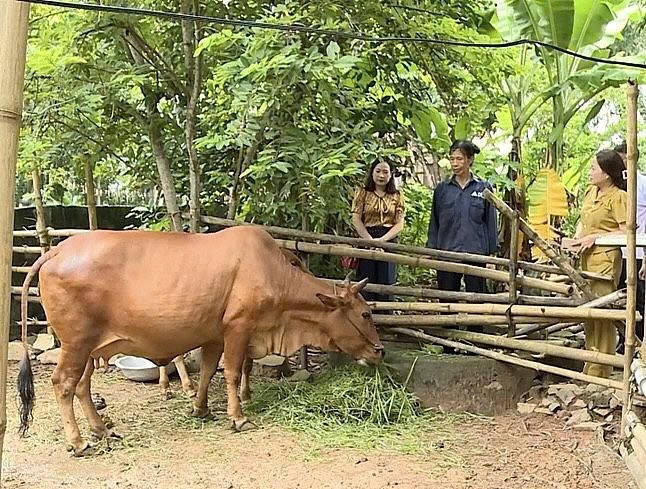 :Người dân nỗ lực thoát nghèo (Ảnh: Thu Hương). 47-7448.jpg