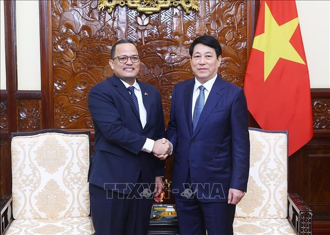 Chủ tịch nước Lương Cường tiếp Đại sứ Dominicana tại Việt Nam Jaime Francisco Rodríguez. (Ảnh: Lâm Khánh/TTXVN)