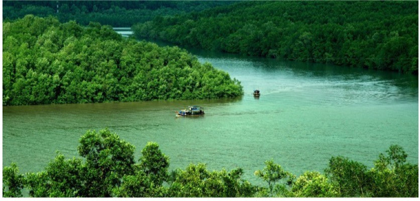 Khởi động chuyến du xuân bằng trải nghiệm khám phá rừng Sác là lựa chọn lý tưởng cho các gia đình.