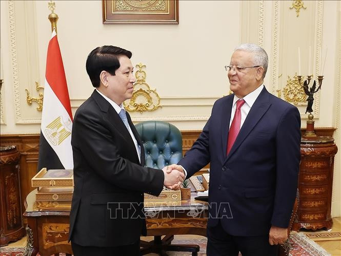 Chủ tịch nước Lương Cường với Chủ tịch Hạ viện Ai Cập Hanafy El-Gebaly tại trụ sở Hạ viện Ai Cập. (Ảnh: Lâm Khánh/TTXVN) Chủ tịch nước Lương Cường với Chủ tịch Hạ viện Ai Cập Hanafy El-Gebaly tại trụ sở Hạ viện Ai Cập. (Ảnh: Lâm Khánh/TTXVN)