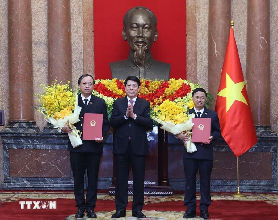 Chủ tịch nước Lương Cường trao quyết định bổ nhiệm Phó Chánh án Tòa án nhân dân Tối cao đối với các Thẩm phán Tòa án nhân dân Tối cao Lê Tiến (bìa trái) và Nguyễn Biên Thùy. Ảnh: TTXVN.