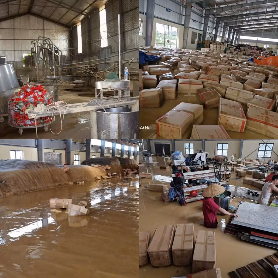 Xưởng miến của Hợp tác xã Việt Cường ngập hoàn toàn trong nước lũ.