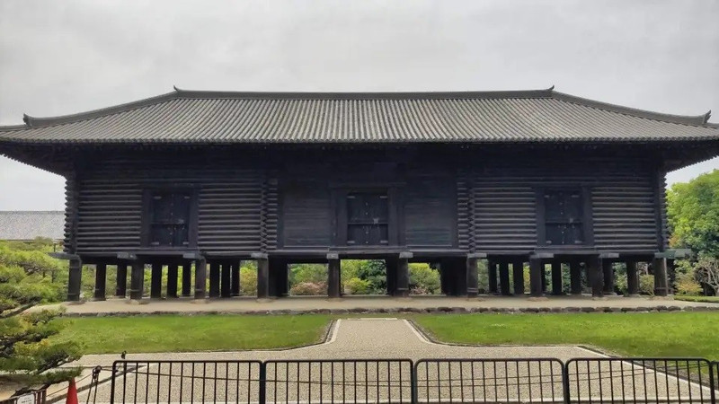 giai-ma-bi-an-rong-uop-xac-1000-nam-tuoi-tai-nhat-ban-7.jpg
