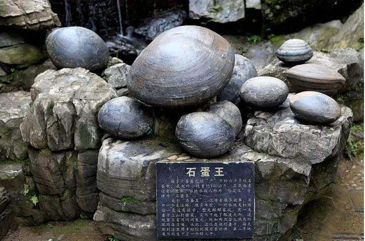 ngon-nui-biet-de-trung-ky-la-khien-khoa-hoc-bo-tay.jpg