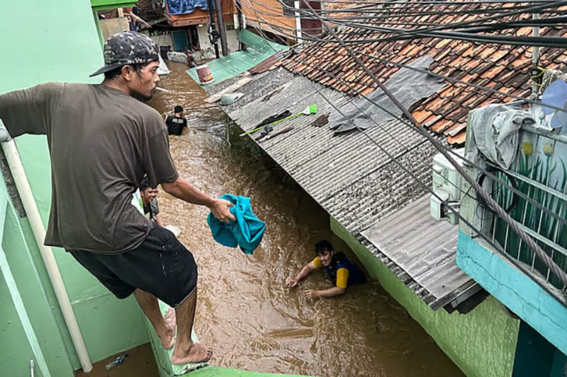 chum-anh-lu-lut-o-jakarta-indonesia-040305-01.jpg