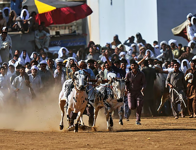 chum-anh-dua-bo-toc-do-cao-o-pakistan-00.jpg