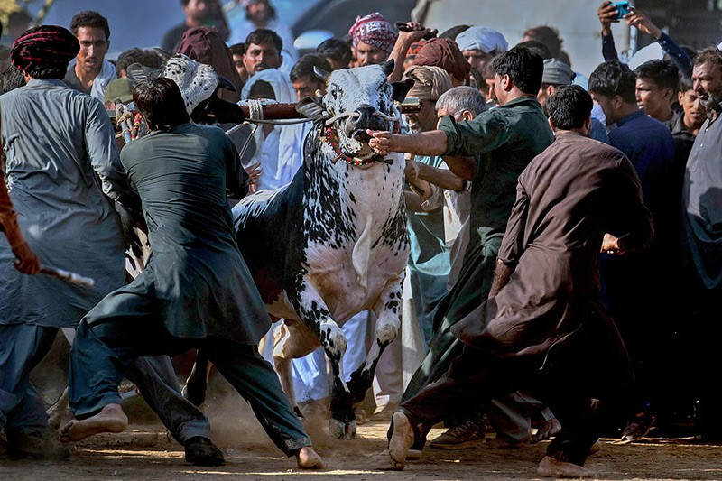 chum-anh-dua-bo-toc-do-cao-o-pakistan-01.jpg