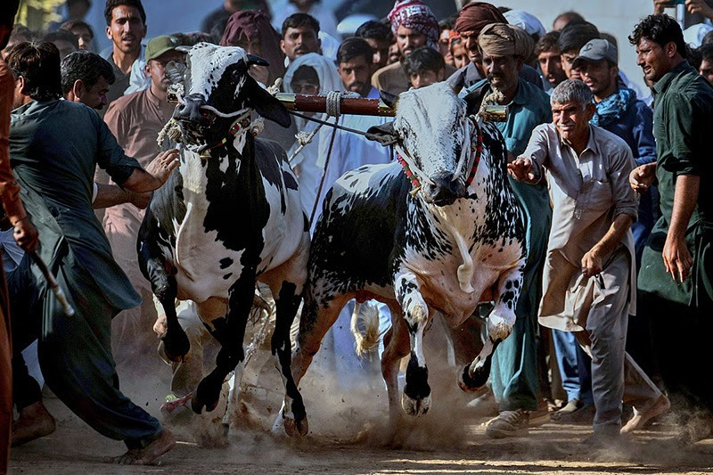 chum-anh-dua-bo-toc-do-cao-o-pakistan-03.jpg