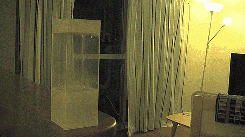 “Chiếc hộp thần kì” có khả năng dự báo thời tiết ảnh 6 “Chiếc hộp thần kì” có khả năng dự báo thời tiết ảnh 6