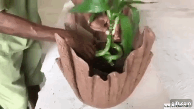 Nhúng chiếc khăn cũ vào hỗn hợp xi măng lỏng rồi phơi khô, thành quả thu được khiến ai cũng muốn bắt chước ảnh 8