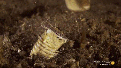 Sau dia nguc va nhung pha san moi khien ban 