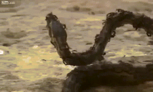 Tran chet tham vi xam nhap to kien lua khong lo