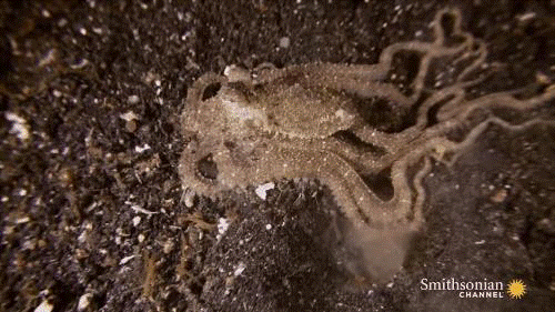 Sau dia nguc va nhung pha san moi khien ban 