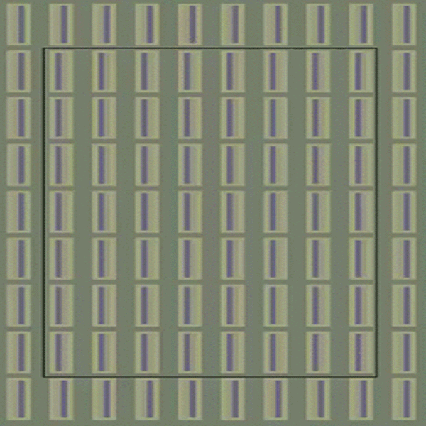 Những ảo ảnh thị giác khiến bạn “lác mắt” vì sung sướng ảnh 4