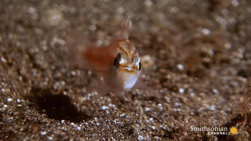 Sau dia nguc va nhung pha san moi khien ban 