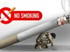 'Vạch trần sự hấp dẫn giả tạo': Vì một thế giới không khói thuốc