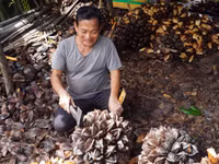 anh-10-1720940092179558603438.jpg