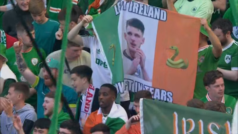 Cặp đôi này bị gắn mác 'rắn' vì quay lưng lại với Ireland, đội tuyển mà họ từng chơi trong quá khứ nhưng chỉ ở cấp độ giao hữu. NINTCHDBPICT000930972546_724d9b.jpg