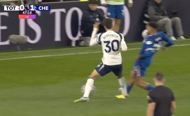 chelsea-5-5290.jpg