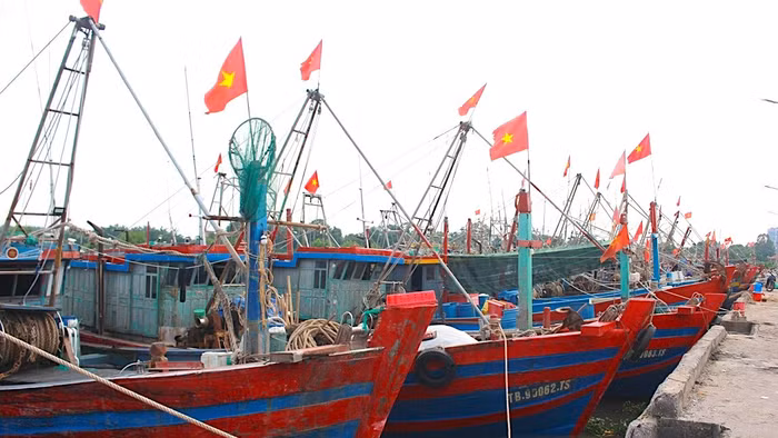 Tàu thuyền neo đậu tại Cảng cá Tân Sơn (xã Thái Thuỵ, Hưng Yên).
