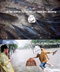 Hài hước ảnh chế mùa mưa bão: “Hà Nội không vội được đâu” - Ảnh 9