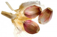 "Tiên tỏi" chống bệnh ung thư ảnh 4