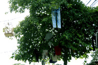 Kiểu phơi quần áo chỉ có ở Việt Nam ảnh 4