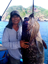 Những “quái ngư” khổng lồ ở Việt Nam ảnh 10